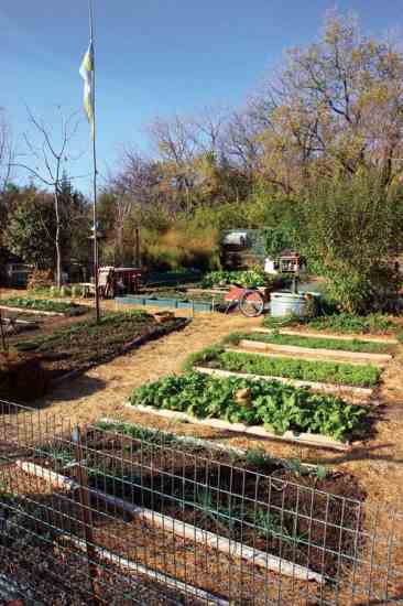 Low-cost, permanent garden beds can be tailored to fit your needs.